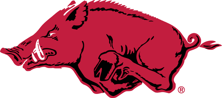 Arkansas Razorbacks 1967-Pres Alternate Logo diy DTF decal sticker